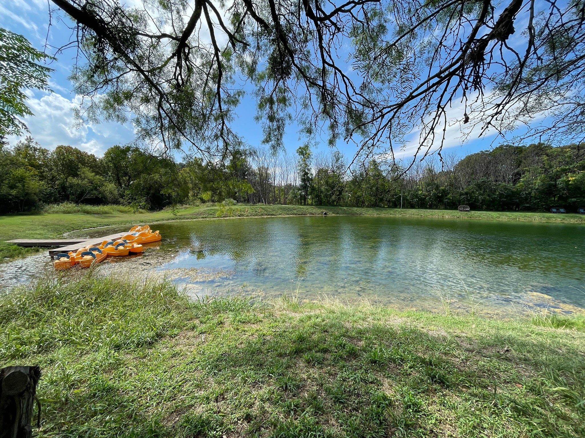 The Christ-Centered Christian